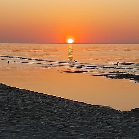 فيلا Magico Posto Wierzchucino المظهر الخارجي الصورة