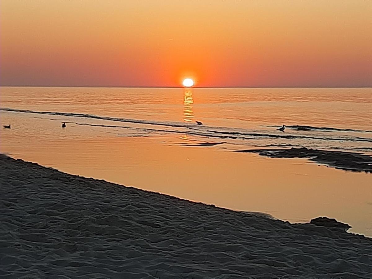 فيلا Magico Posto Wierzchucino المظهر الخارجي الصورة